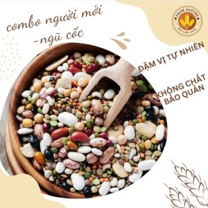 Hạt ngũ cốc nguyên chất-combo dinh dưỡng cho người mới