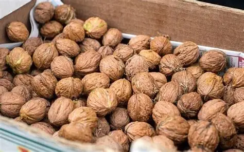 hạt dinh dưỡng các loại